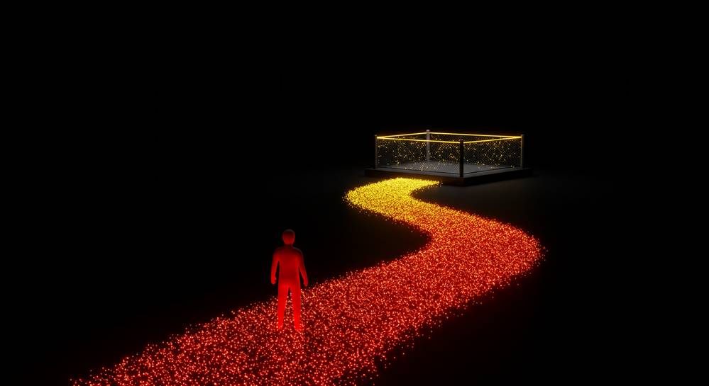 Khám phá võ thuật ufc việt nam từ cơ bản đến chuyên sâu